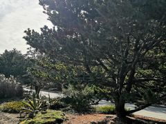 -黄兴公园