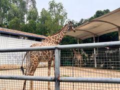 -泉州海丝野生动物世界