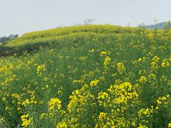 -蜀厨小匠(蒲江店)