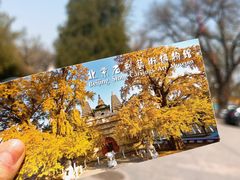 -北京石刻艺术博物馆