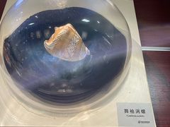 -青岛贝壳博物馆