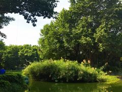 -广州长隆飞鸟乐园