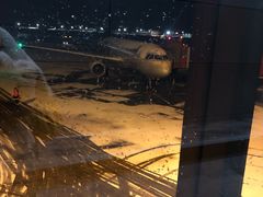 -谢列梅捷沃国际机场