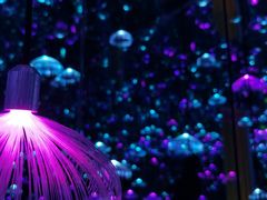 -杭州西湖星空魔幻城(星空艺术馆品牌旗舰店)