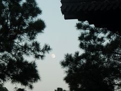 -黄牛肉馆·皖南土菜