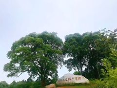 -鄱阳湖国家湿地公园