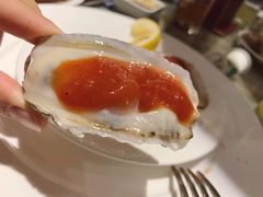 生蚝-康帝国际酒店-艾斯本自助西餐厅