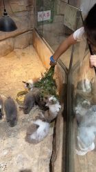 -宝燕乐园(闵行旗舰店)