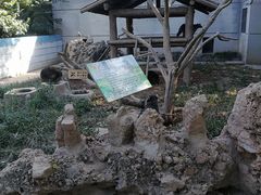 -石家庄市动物园