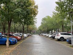 -大兴滨河森林公园