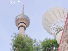 -中央广播电视塔
