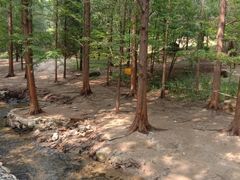 -白水寺森林公园
