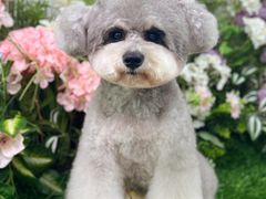 -喵汪宠物生活馆(涞坊路店)