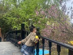 -南汇桃花村