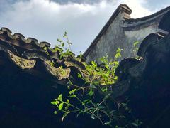 -乌镇望津里精品酒店