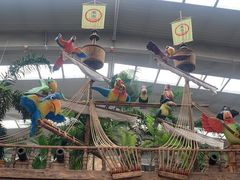 -南宫五洲植物乐园