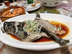 -龙的酒楼·手工早茶·顺德菜(近良路店)