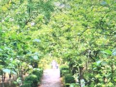 -白马涧龙池景区