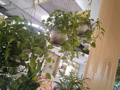 -芭夯兔·兔肉汤锅(新都店)