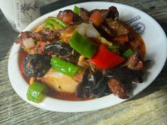 -歹歹的加个面过油肉拌面