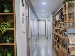 -杏林康桥中医正骨·体态矫正·跌打损伤·推拿按摩(国贸建外SOHO店)