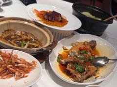-侨美食家·40年地道粤菜(珠江新城店)
