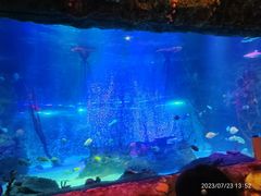 -沈阳海洋探索中心