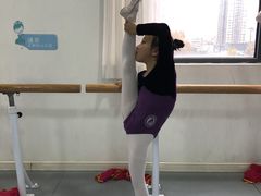 -西安小天鹅艺术团(金花路校区)