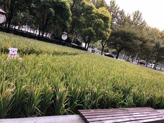 -证大喜玛拉雅中心
