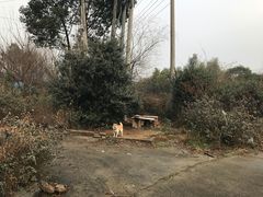 -翠茗农庄土菜馆(天目湖店)