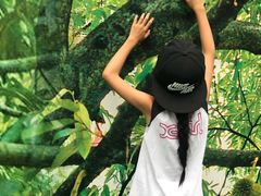 -都念榴莲·城市榴莲