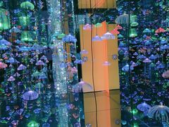 -迷斯伍德星空博物馆