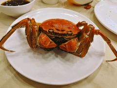 -王宝和酒家(黄浦店)