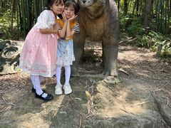 -森波拉奇妙世界