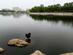 -长春世界雕塑园冰雪艺术天地