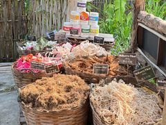 -大象粑粑造纸公园