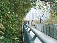 -佛山华盖山公园