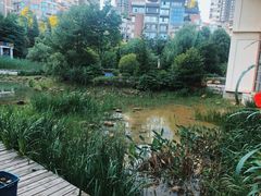 景观位-黔蘑菇四季餐厅(观山湖店)