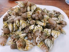 鸡爪螺（佛爪螺）-四季美蚝皇