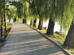 -长春市南湖公园