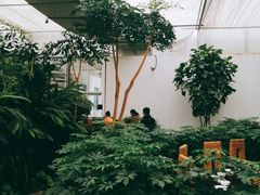-汤山翠谷生态餐厅