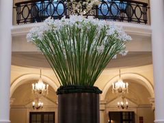 -Salon de Ville浦江汇(上海外滩华尔道夫酒店店)