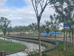 -上海长兴岛郊野公园