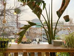 景观位-小时光咖啡馆(北锣鼓巷店)