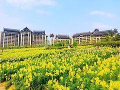 -清远熹乐谷温泉度假酒店