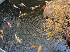 -永红源啤酒·烧烤·海鲜·大排档(台柳路店)