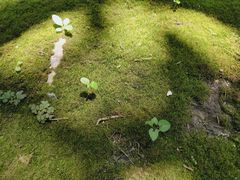 -常州古运河南大街文化旅游区-人民公园