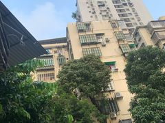 -陈添記·祖傳爽鱼皮·西关老字号(广州首店)
