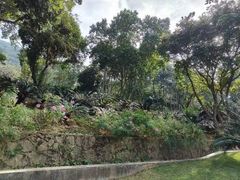 -深圳仙湖植物园