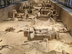 -洛阳周王城天子驾六博物馆